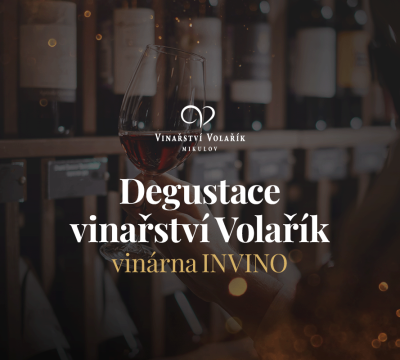 Degustace vín z vinařství Volařík 15. 3. 2024