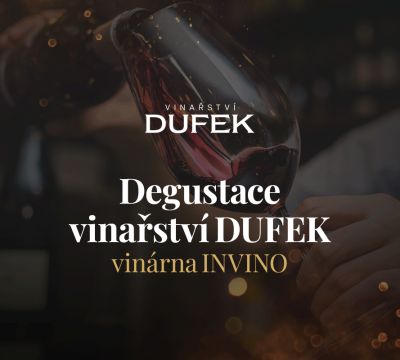 Degustace vín z vinařství DUFEK 19. 4. 2024 